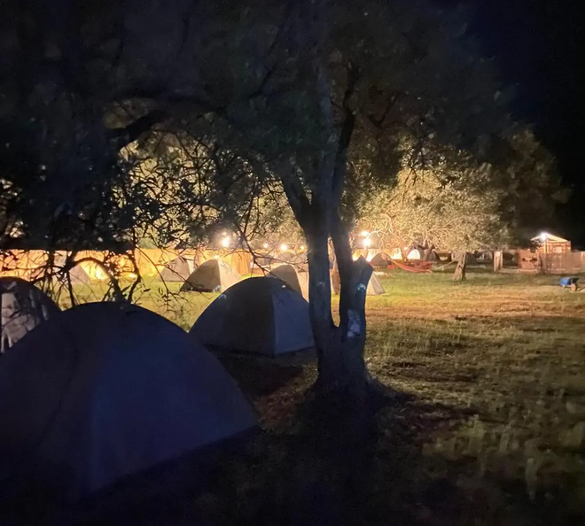 Borsh Olive Camping Kemp