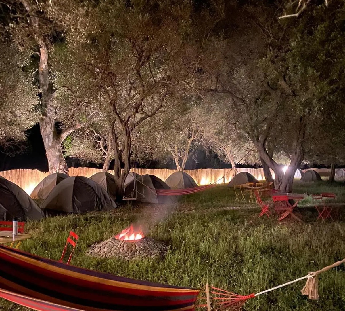 캠프장 Borsh Olive Camping 알바니아
