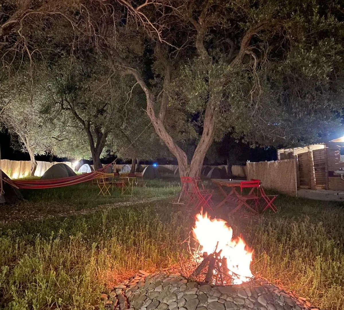 Borsh Olive Camping