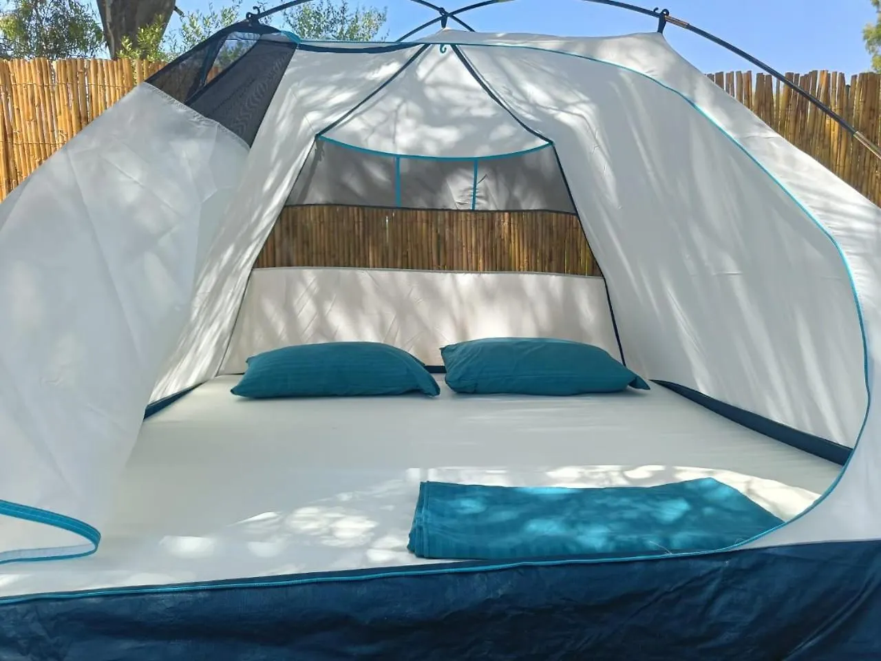 Borsh Olive Camping