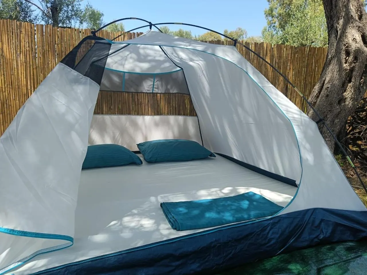 Borsh Olive Camping location