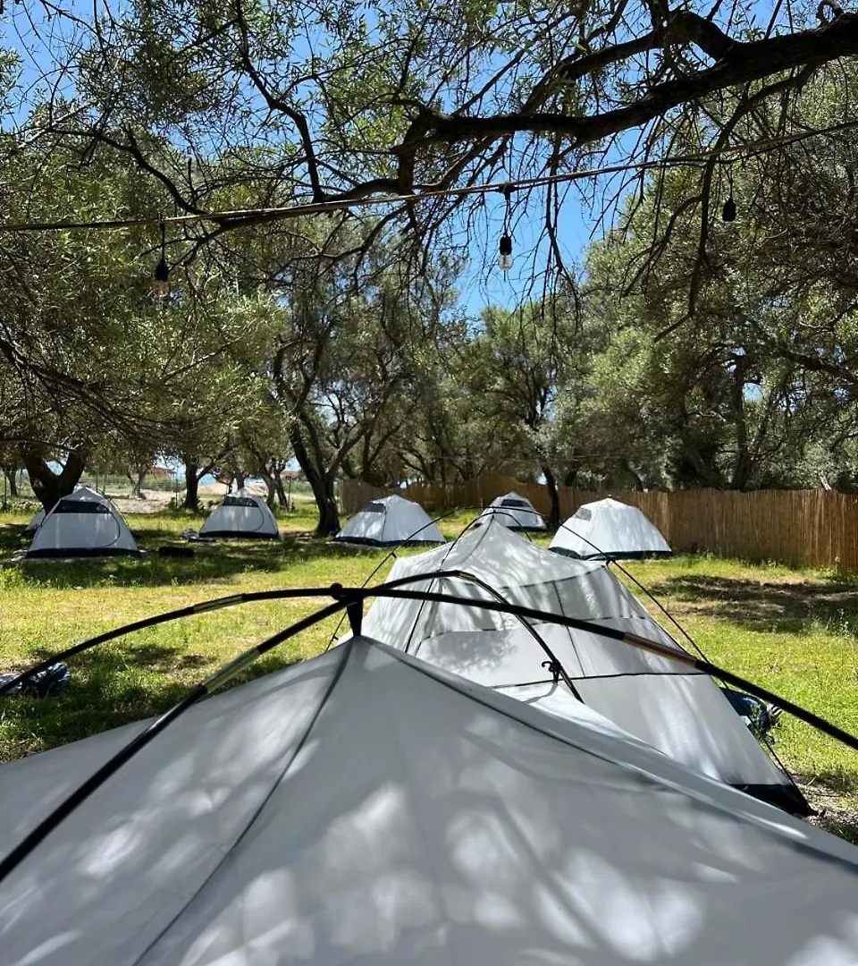 Borsh Olive Camping