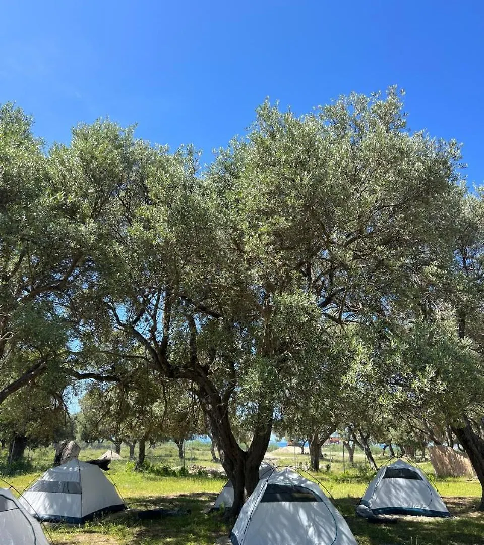 Kemp Borsh Olive Camping
