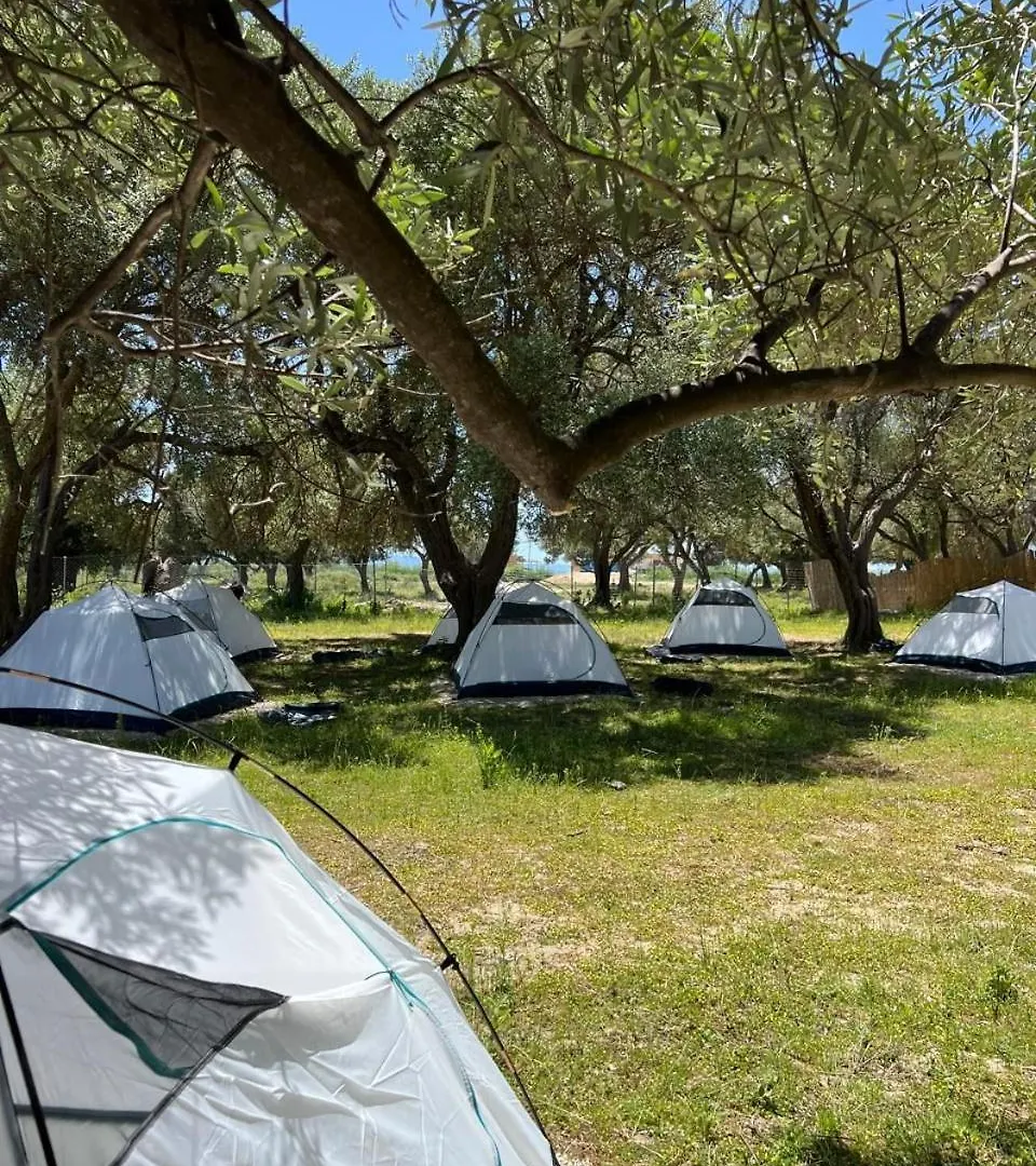 Borsh Olive Camping 0*,