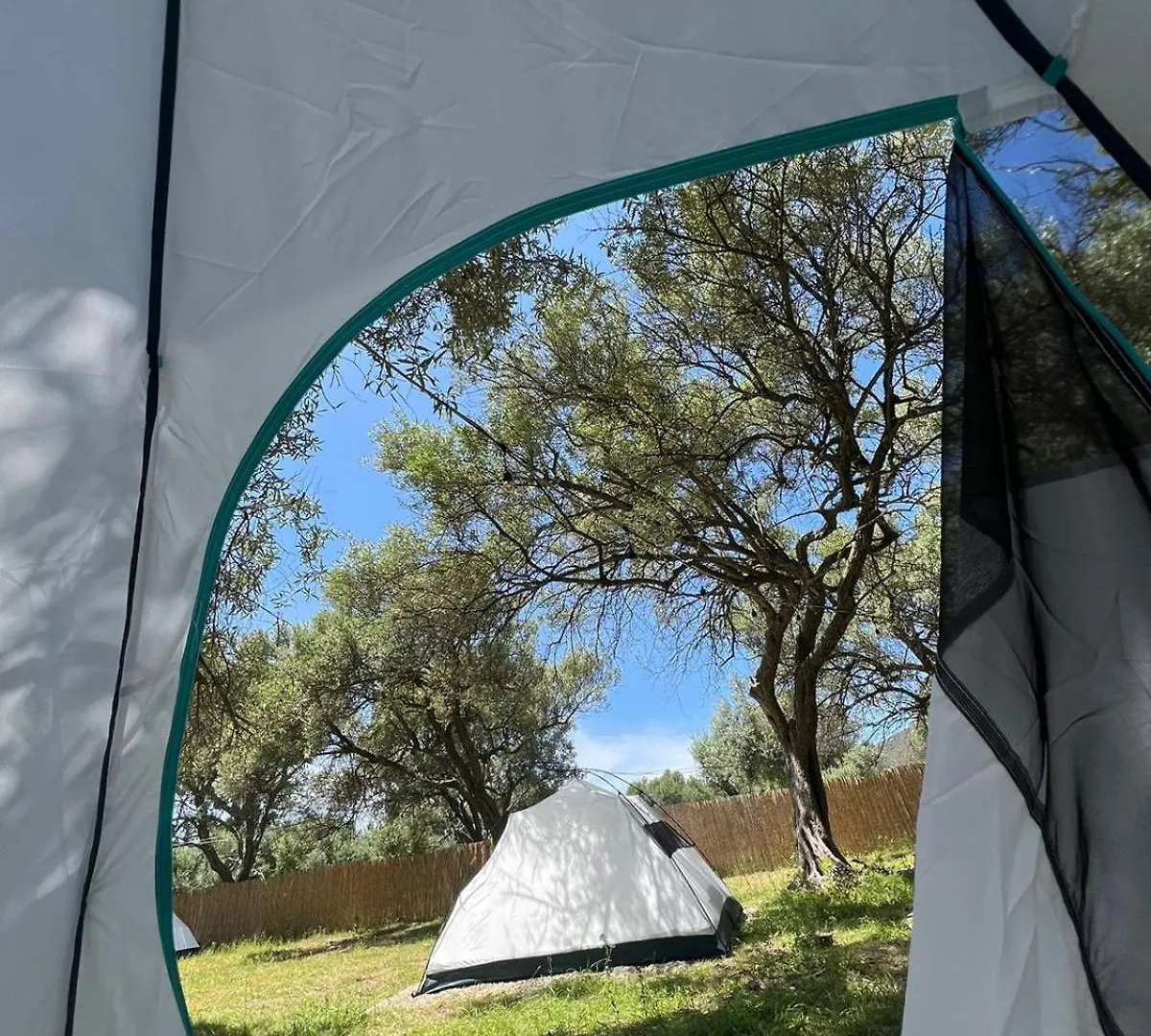 Borsh Olive Camping 0*,