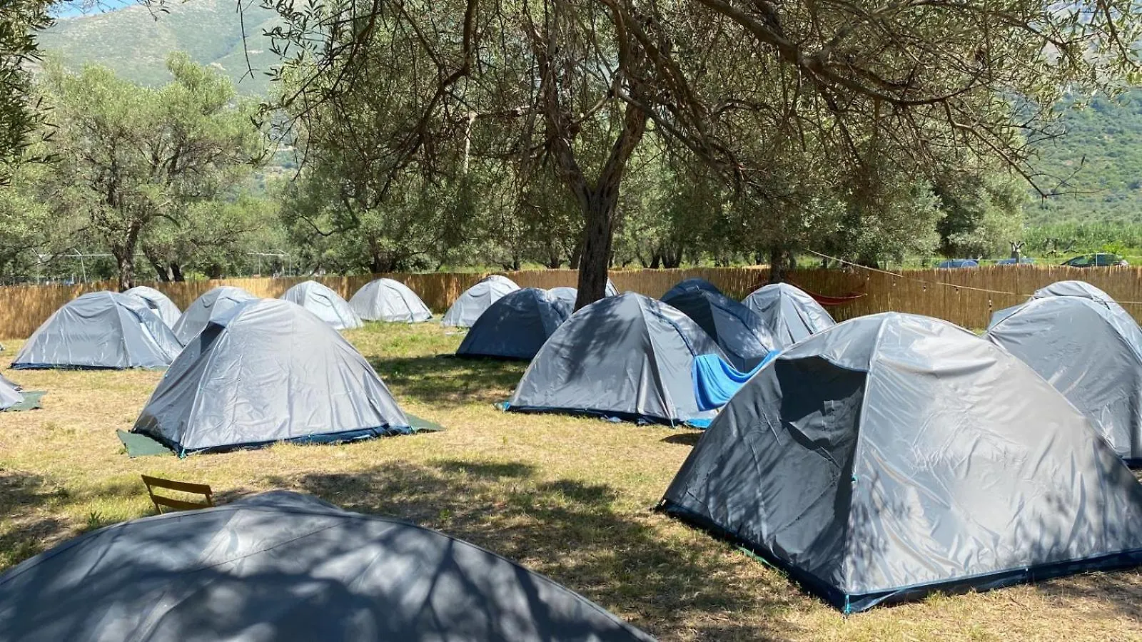 Borsh Olive Camping Kemp