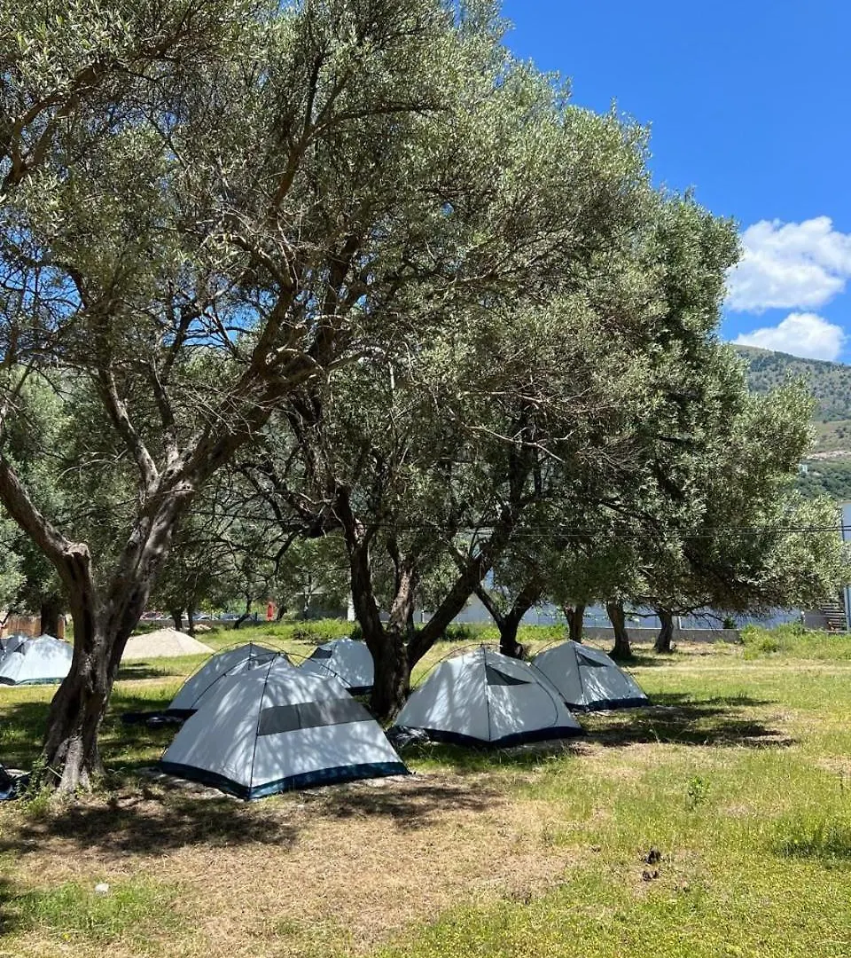 Borsh Olive Camping Kemp