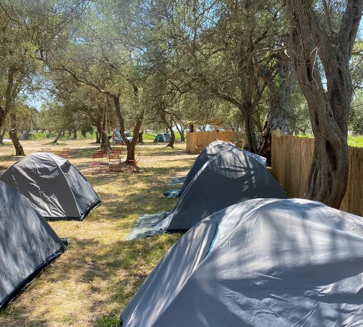 Borsh Olive Camping 캠프장