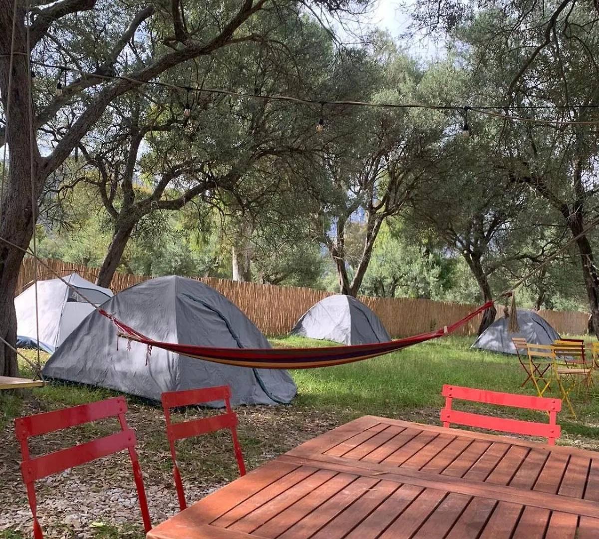 Borsh Olive Camping