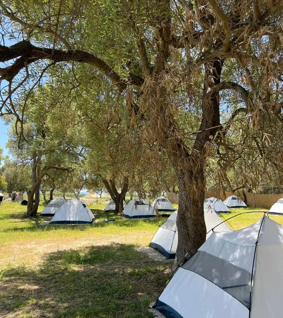 Borsh Olive Camping