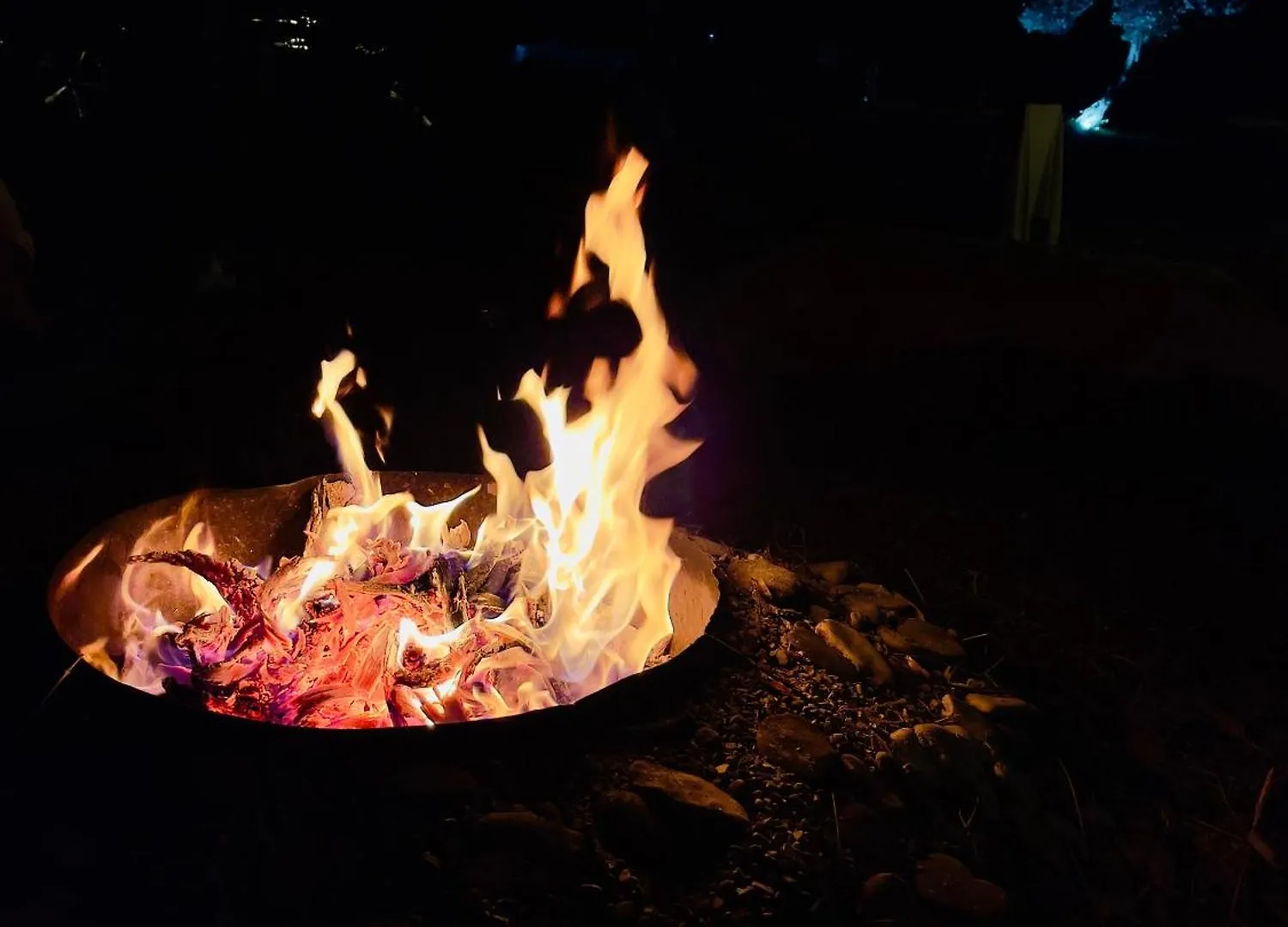 캠프장 Borsh Olive Camping