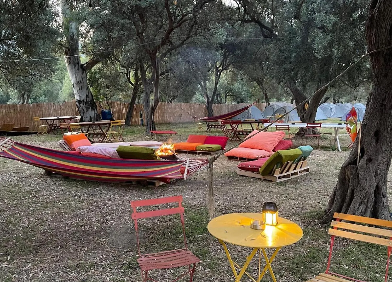 Borsh Olive Camping 캠프장