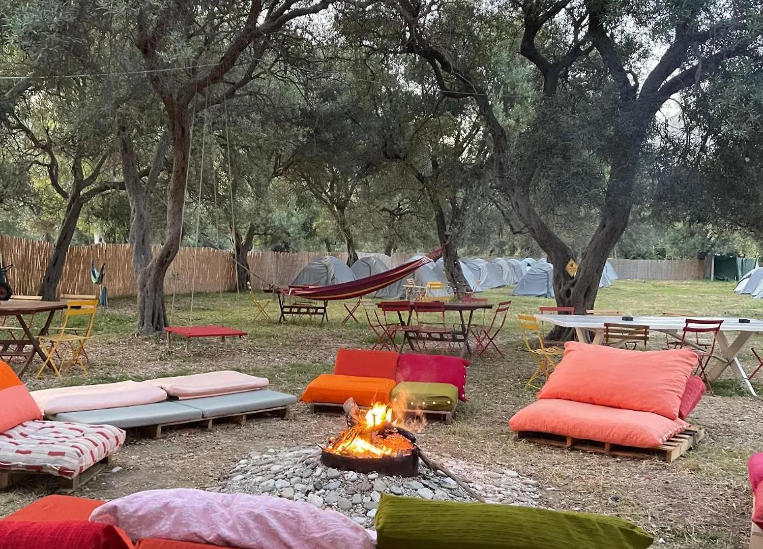 Borsh Olive Camping 캠프장