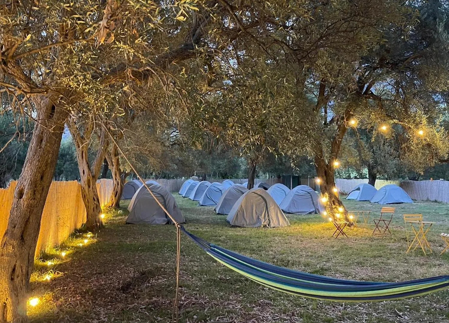 Kemp Borsh Olive Camping