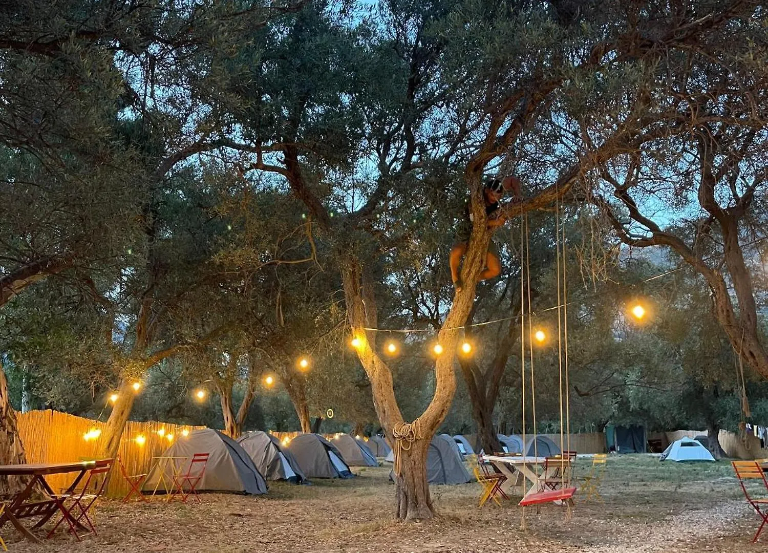 캠프장 Borsh Olive Camping
